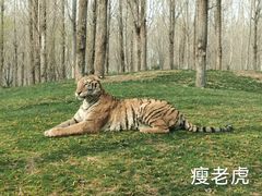 -北京野生动物园