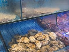 -前王院•巧克力海鲜市集餐厅(万平口店)