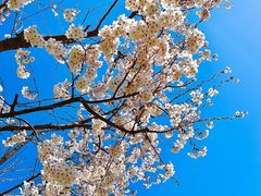 -青岛海景花园大酒店