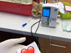 -联合动物医院(光谷诊疗中心)
