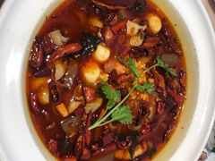 -老板恋上鱼(恒隆广场店)