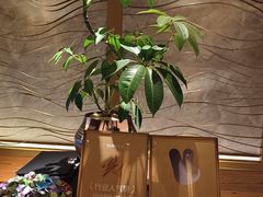 -浅深(北京北四环精品店)