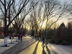 -太原动物园