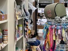 -米苏动物医院·犬猫专科·骨科外科内窥镜