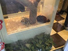 -龙猫仔乐园(惠福东路店)