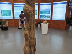 -龙虎山世界地质公园博物馆