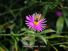 -北海公园-停车场