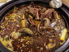 鳝鱼-金海椒罐罐鲢鱼(东方桂苑店)