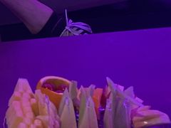 -外滩8号 whisky bar(金延大厦店)