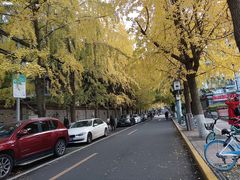 -牛班音乐学校(晶融汇购物中心店)