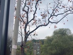 -里口山风景名胜区