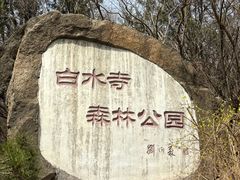 -白水寺森林公园