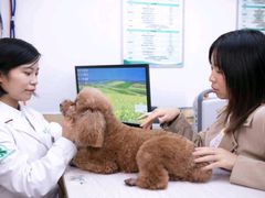 -瑞派蒂凯宠物医院·免疫点·宠保定点