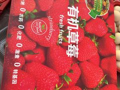 -大自然农场蔬菜草莓采摘园
