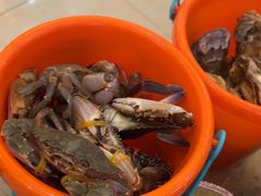 -四海蒸鲜蒸汽海鲜自助(北戴河店)