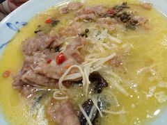 -邵年鸽(杨庄店)