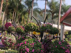 -深圳仙湖植物园