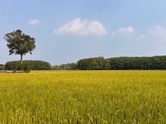 -嘉北郊野公园