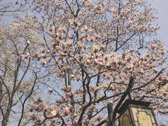-白马涧龙池景区