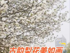 -天津自然博物馆