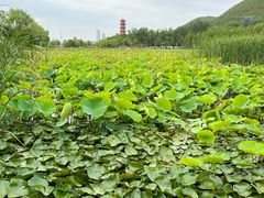 -云龙湖旅游景区