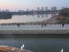 -鱼翅楼·津派砂锅鱼翅(水上公园店)