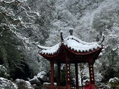 -西岭雪山大飞水景区