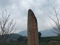 -龙坞茶村