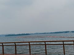 -丁香湖公园