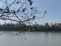 -艾溪湖湿地公园