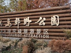 -上海长兴岛郊野公园