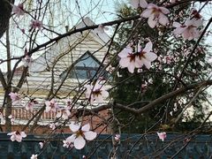 -北京市海淀外国语实验学校