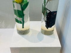 -广东中医药博物馆