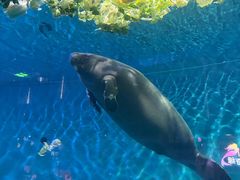 -泉城欧乐堡海洋极地世界