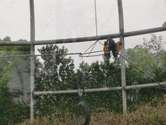 -合肥野生动物园