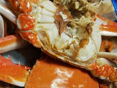 -金海湾海鲜排档(朱家尖店)