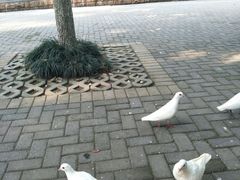 -赭山公园