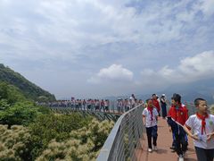 -大余丫山旅游度假区