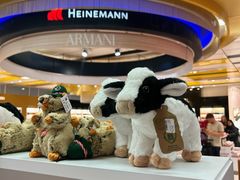 -维也纳国际机场