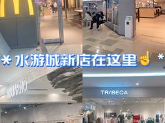 -鹏欣水游城
