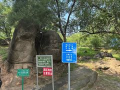 -白水寺森林公园