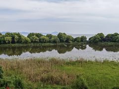 -上海市保健医疗中心