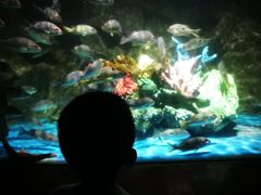 -太平洋海底世界博览馆·展览厅