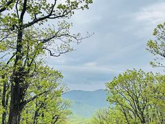 -安吉龙王山风景区