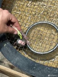 -酷嗒动物文化乐园(cutezoo西溪乐天城店)