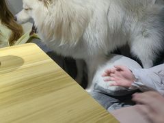 -剧狐剧本杀(徐汇1号店)