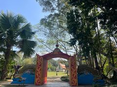 -中国科学院西双版纳热带植物园