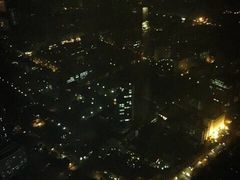 -洲际酒店·凌霄餐厅(紫峰大厦店)