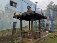 -大连森林动物园