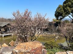 -无锡梅园公园